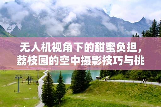无人机视角下的甜蜜负担，荔枝园的空中摄影技巧与挑战
