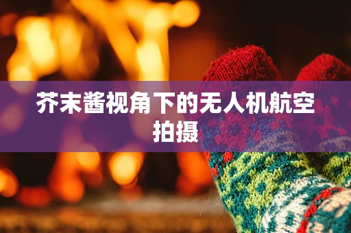 芥末酱视角下的无人机航空拍摄