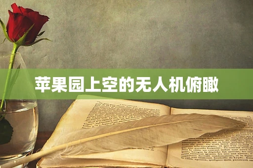 苹果园上空的无人机俯瞰