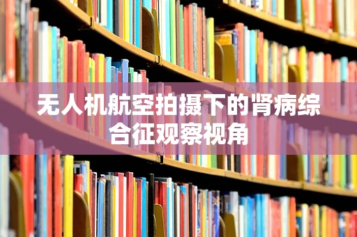 无人机航空拍摄下的肾病综合征观察视角