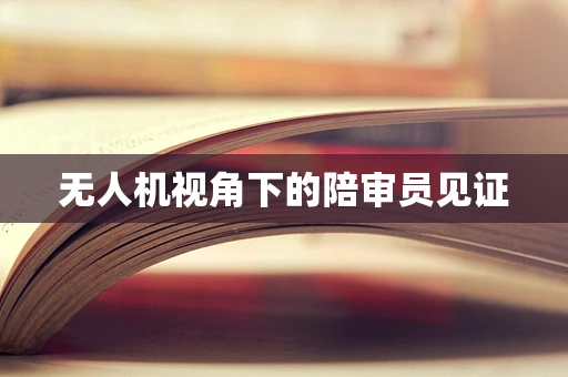 无人机视角下的陪审员见证