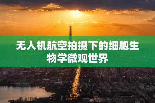 无人机航空拍摄下的细胞生物学微观世界