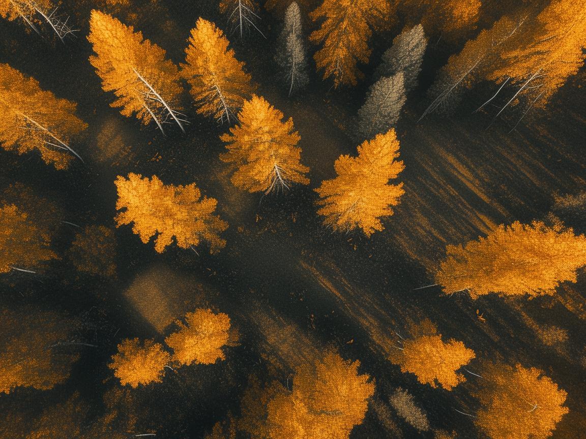 用无人机航拍摄影,洞察鼻炎相关奥秘